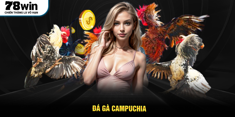 Các quy tắc cơ bản trong Đá gà Campuchia tại 78WIN